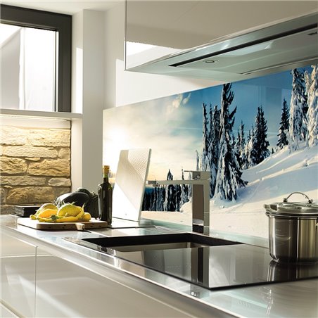 Glas Küchenrückwand 6 mm ESG Motive KRWM-0472