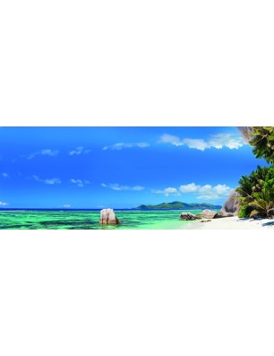 Glas Küchenrückwand 6 mm ESG Motive KRWM-0486