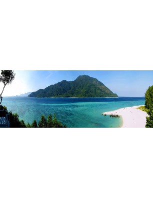 Glas Küchenrückwand 6 mm ESG Motive KRWM-0492