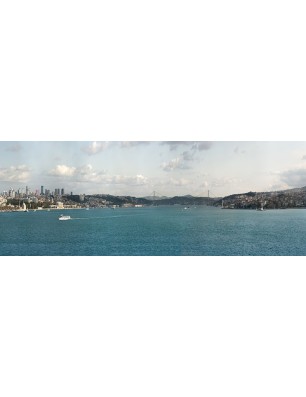 Glas Küchenrückwand 6 mm ESG Motive KRWM-0502