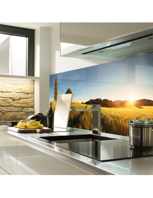 Glas Küchenrückwand 6 mm ESG Motive KRWM-0505