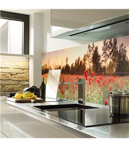 Glas Küchenrückwand 6 mm ESG Motive KRWM-0520