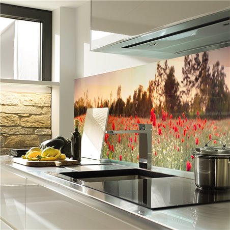 Glas Küchenrückwand 6 mm ESG Motive KRWM-0520