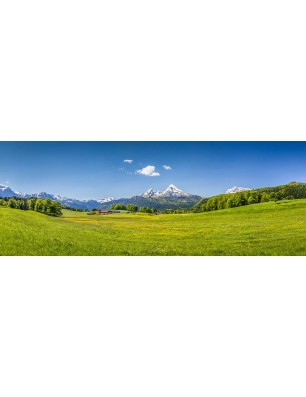 Glas Küchenrückwand 6 mm ESG Motive KRWM-0526