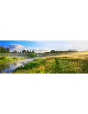 Glas Küchenrückwand 6 mm ESG Motive KRWM-0527