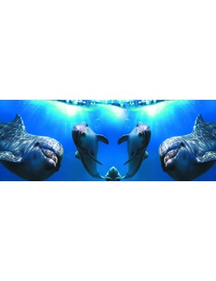 Glas Küchenrückwand 6 mm ESG Motive KRWM-0532