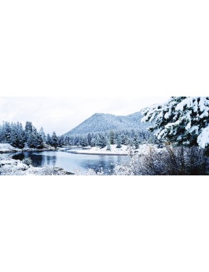 Glas Küchenrückwand 6 mm ESG Motive KRWM-0533