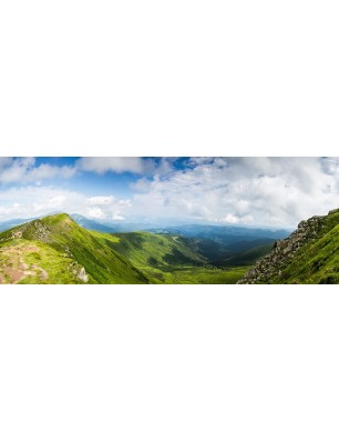 Glas Küchenrückwand 6 mm ESG Motive KRWM-0538