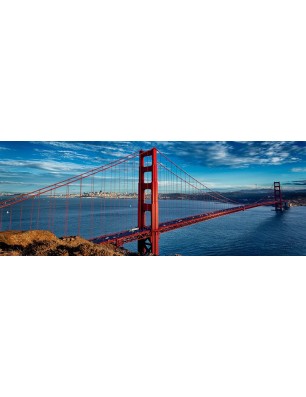 Glas Küchenrückwand 6 mm ESG Motive KRWM-0546