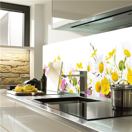 Glas Küchenrückwand 6 mm ESG Motive KRWM-0551