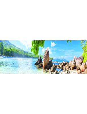 Glas Küchenrückwand 6 mm ESG Motive KRWM-0563