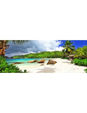 Glas Küchenrückwand 6 mm ESG Motive KRWM-0569