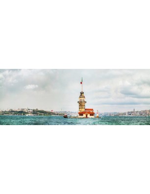 Glas Küchenrückwand 6 mm ESG Motive KRWM-0572