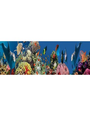 Glas Küchenrückwand 6 mm ESG Motive KRWM-0588