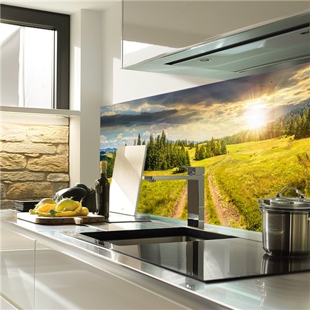 Glas Küchenrückwand 6 mm ESG Motive KRWM-0590