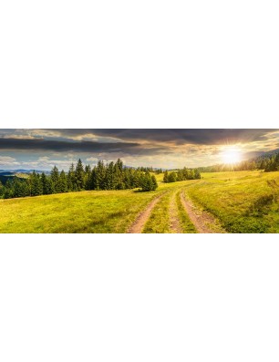 Glas Küchenrückwand 6 mm ESG Motive KRWM-0590