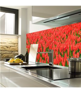 Glas Küchenrückwand 6 mm ESG Motive KRWM-0595