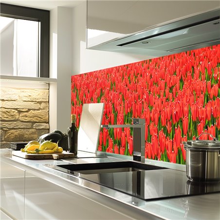 Glas Küchenrückwand 6 mm ESG Motive KRWM-0595