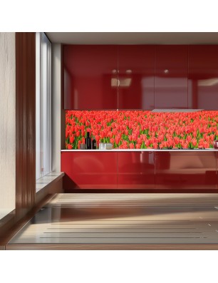 Glas Küchenrückwand 6 mm ESG Motive KRWM-0595