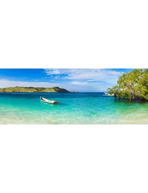 Glas Küchenrückwand 6 mm ESG Motive KRWM-0599