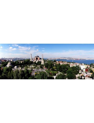 Glas Küchenrückwand 6 mm ESG Motive KRWM-0600