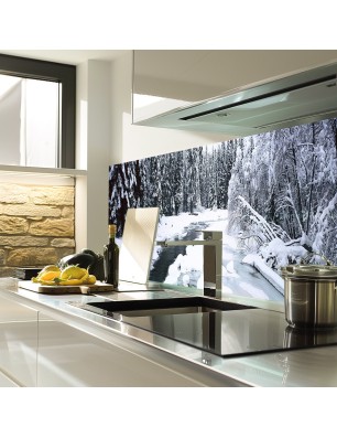 Glas Küchenrückwand 6 mm ESG Motive KRWM-0601