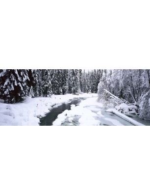 Glas Küchenrückwand 6 mm ESG Motive KRWM-0601