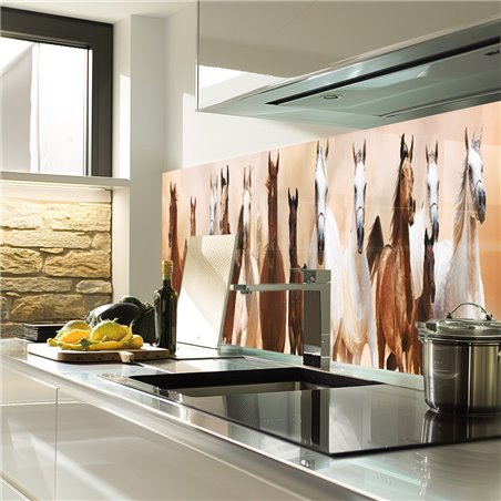 Glas Küchenrückwand 6 mm ESG Motive KRWM-0605