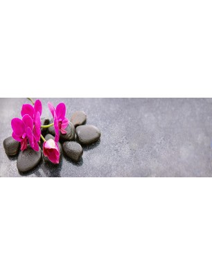 Glas Küchenrückwand 6 mm ESG Motive KRWM-0610