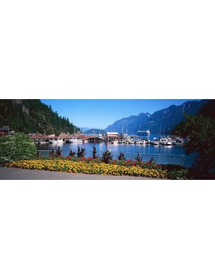 Glas Küchenrückwand 6 mm ESG Motive KRWM-0611