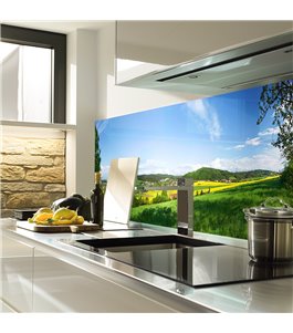 Glas Küchenrückwand 6 mm ESG Motive KRWM-0627