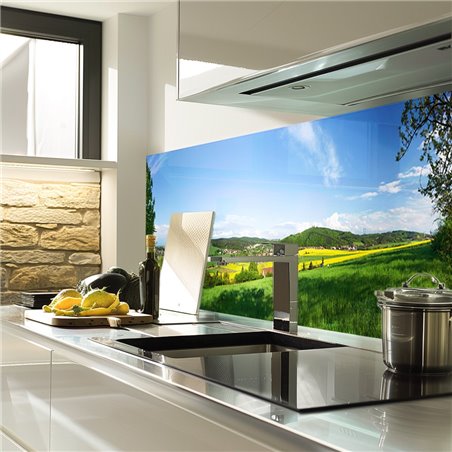 Glas Küchenrückwand 6 mm ESG Motive KRWM-0627