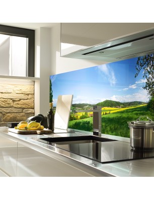 Glas Küchenrückwand 6 mm ESG Motive KRWM-0627