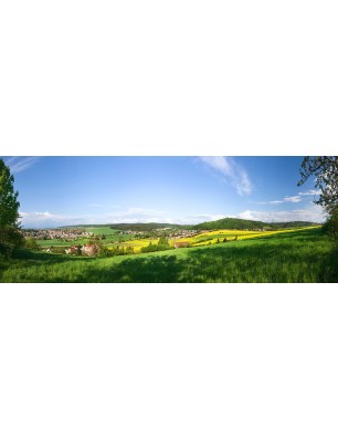 Glas Küchenrückwand 6 mm ESG Motive KRWM-0627