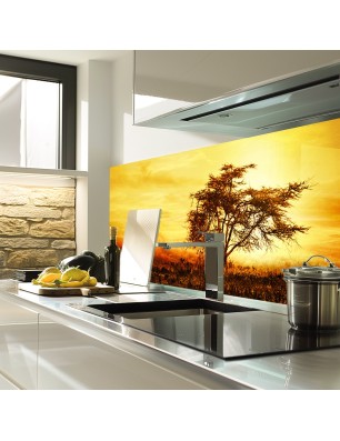 Glas Küchenrückwand 6 mm ESG Motive KRWM-0628