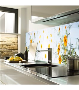 Glas Küchenrückwand 6 mm ESG Motive KRWM-0629