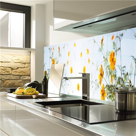 Glas Küchenrückwand 6 mm ESG Motive KRWM-0629