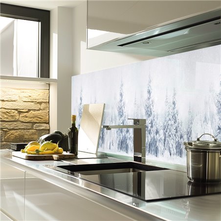 Glas Küchenrückwand 6 mm ESG Motive KRWM-0631