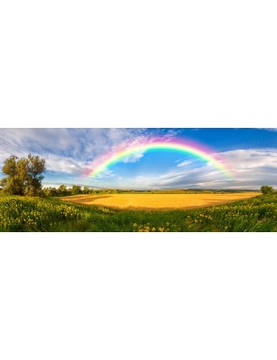 Glas Küchenrückwand 6 mm ESG Motive KRWM-0643