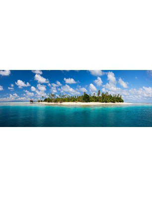 Glas Küchenrückwand 6 mm ESG Motive KRWM-0644