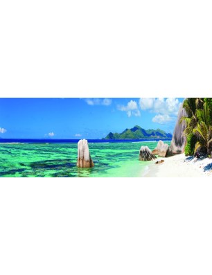 Glas Küchenrückwand 6 mm ESG Motive KRWM-0750