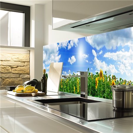 Glas Küchenrückwand 6 mm ESG Motive KRWM-0762