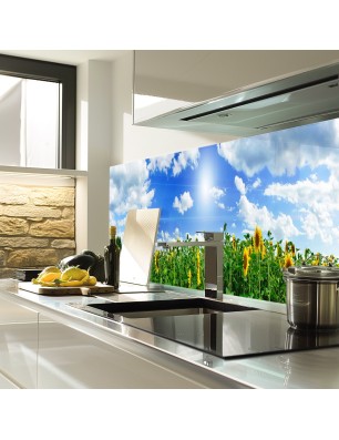 Glas Küchenrückwand 6 mm ESG Motive KRWM-0762