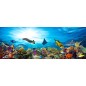 Glas Küchenrückwand 6 mm ESG Motive KRWM-0770 Glas Küchenrückwand 6 mm ESG Motive KRWM-0770