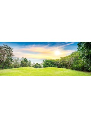 Glas Küchenrückwand 6 mm ESG Motive KRWM-0782