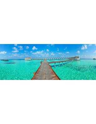 Glas Küchenrückwand 6 mm ESG Motive KRWM-0800