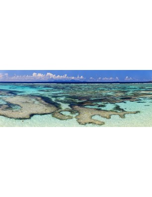 Glas Küchenrückwand 6 mm ESG Motive KRWM-0809