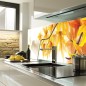 Glas Küchenrückwand 6 mm ESG Motive KRWM-0815