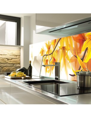 Glas Küchenrückwand 6 mm ESG Motive KRWM-0815