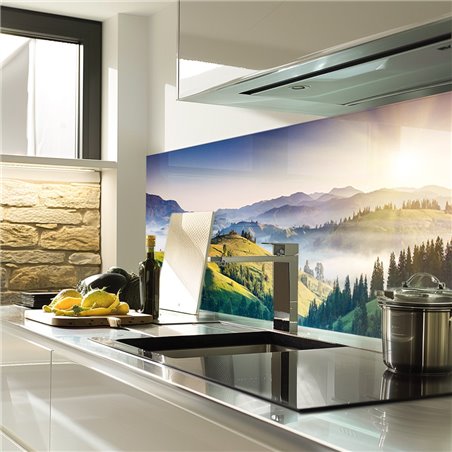 Glas Küchenrückwand 6 mm ESG Motive KRWM-0818